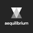 Aequilibrium Software Inc. logo