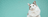 Billings Bridge Animal Hospital logo