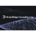 BrainRidge Consulting logo