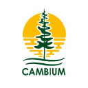 Cambium Inc. logo