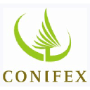 Conifex Timber Inc. logo