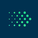 Everfield logo