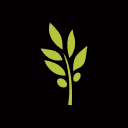 EVOO Greek Kitchen logo