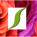 Staalduinen Floral Ltd logo