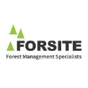 FORSITE CONSULTANTS LTD logo