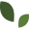 G.T.L. Paysagiste logo