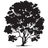 HLS Therapeutics logo