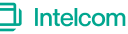 Intelcom | Dragonfly logo