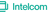 Intelcom | Dragonfly logo