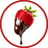 Just temptations logo