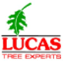 Lucas Tree Expert Co, Inc logo