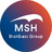 MSH Americas -  Diot-Siaci Group logo