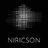 Niricson Software Inc. logo