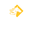 Paladin Airport Security Services logo
