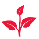 Paysagiste Rive Sud Ltée logo