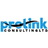 Prolink Consultants logo