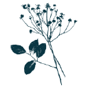 Published on Main logo