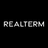Realterm logo