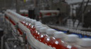 Refresco logo