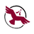 Shared Value Solutions logo
