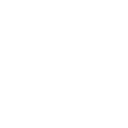 Snowbird Aviation Services logo