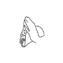 Tacofino logo