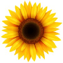 The Family Enhancement Centre logo