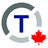 Tessera Group Inc. logo