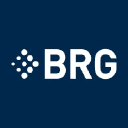 Berkeley Research Group, LLC logo