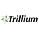 Trillium logo