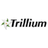 Trillium logo