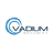 Vadium Security Inc. logo