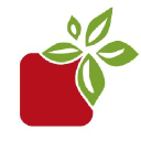 Yummy Market Inc. logo