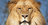Granby Zoo logo