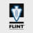 FLINT Corp. logo