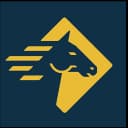 Paladin Security logo